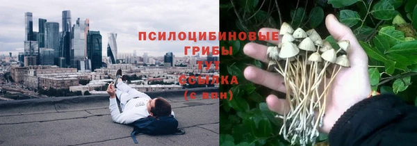 метадон Медвежьегорск