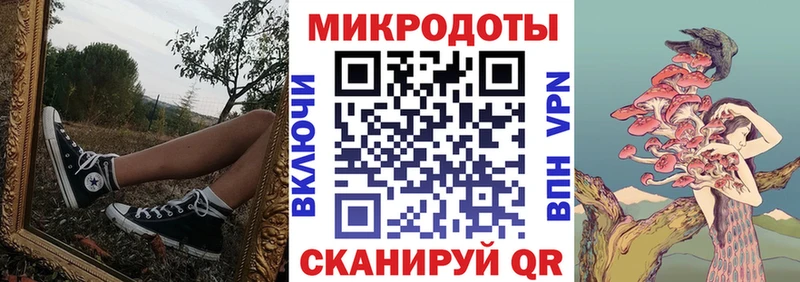 цена   Темников  Псилоцибиновые грибы Cubensis 
